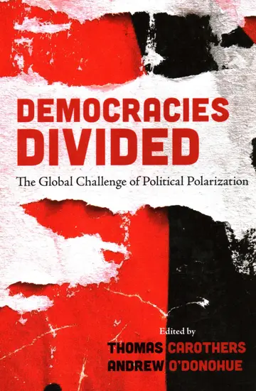 Cover of Democracies Divided