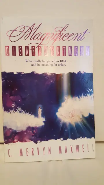 Cover of Magnificent Disappointment