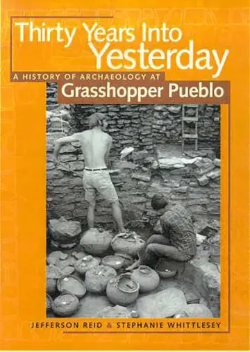 Cover of Thirty Years into Yesterday
