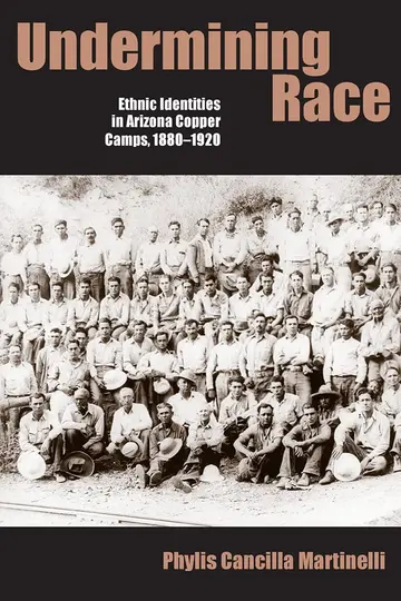 Cover of Undermining Race