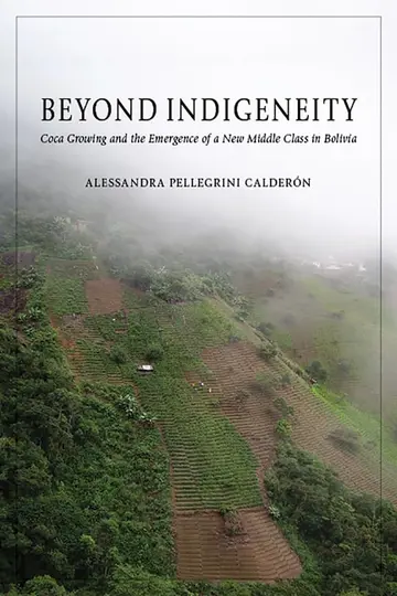 Cover of Beyond Indigeneity