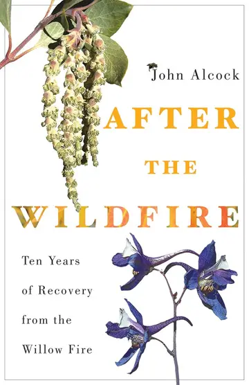 Cover of After the Wildfire
