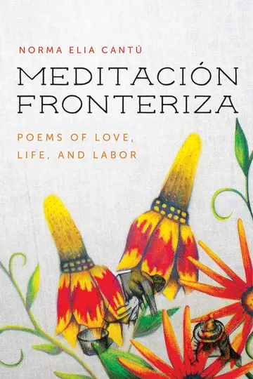 Cover of Meditación Fronteriza