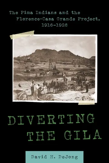 Cover of Diverting the Gila