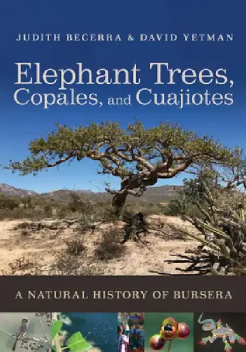 Cover of Elephant Trees, Copales, and Cuajiotes