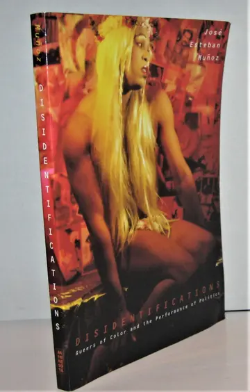 Cover of Disidentifications
