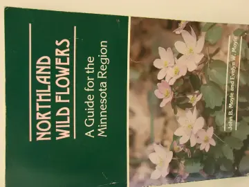 Cover of Northland Wildflowers