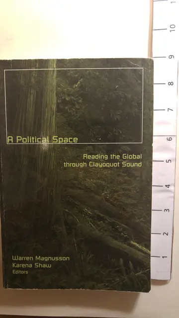 Cover of A Political Space