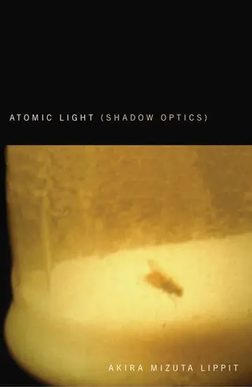 Cover of Atomic Light