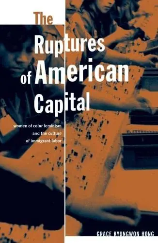 Cover of The Ruptures of American Capital