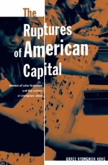 Cover of The Ruptures Of American Capital