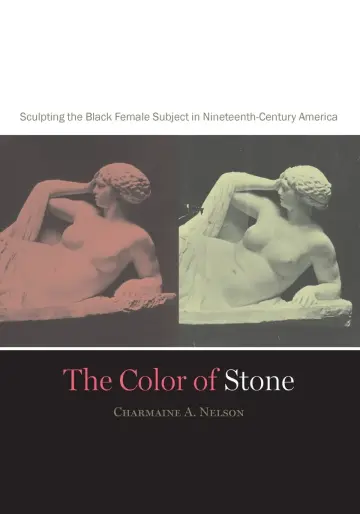 Cover of The Color of Stone