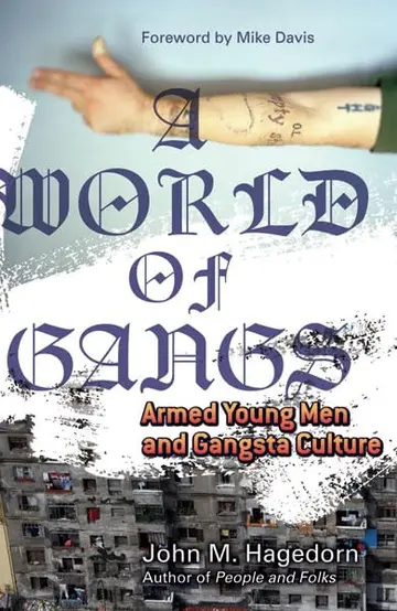 Cover of A World of Gangs