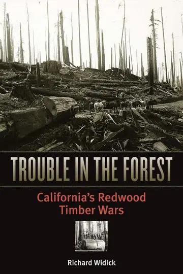 Cover of Trouble in the Forest