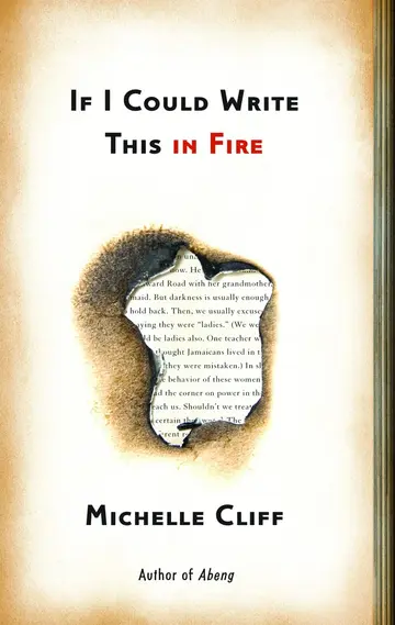 Cover of If I Could Write This in Fire