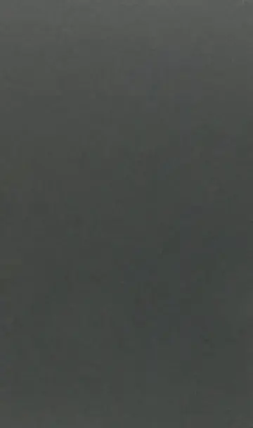 Cover of More Than Shelter