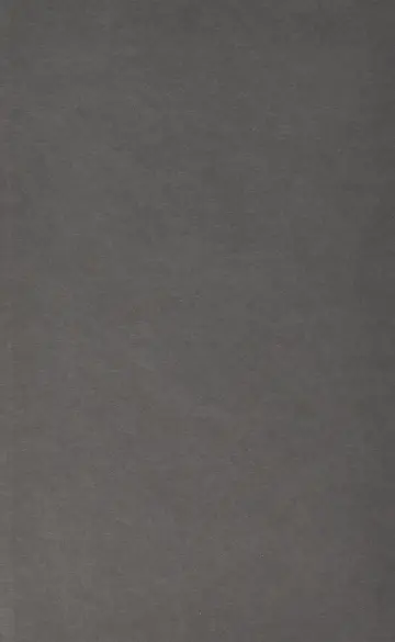 Cover of The Dance That Makes You Vanish