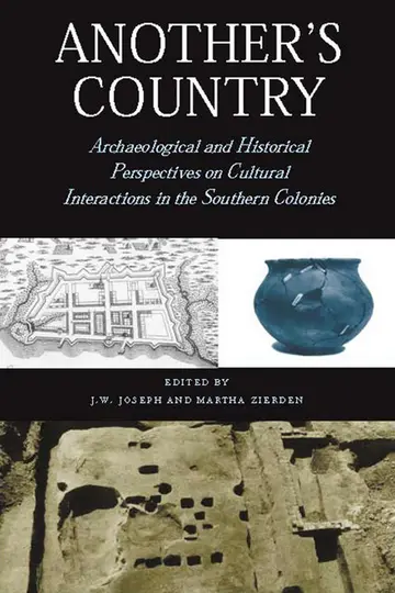Cover of Another's Country