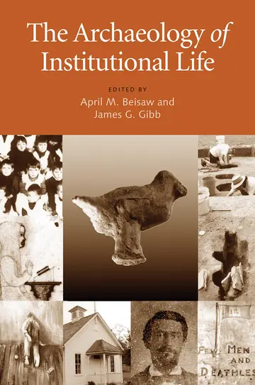 Cover of The Archaeology of Institutional Life