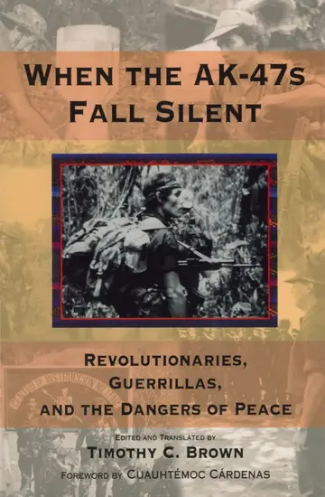 Cover of When the Ak-47s Fall Silent