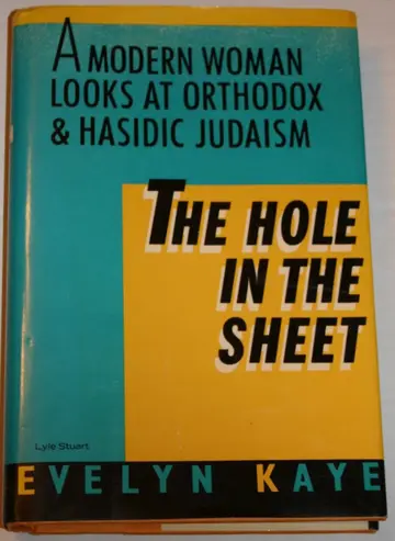 Cover of The Hole in the Sheet