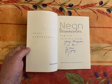 Cover of Neon Vernacular