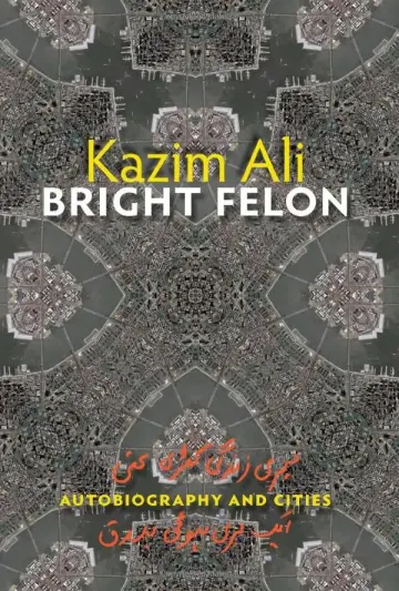 Cover of Bright Felon