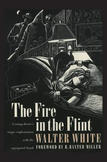 Cover of The Fire in the Flint