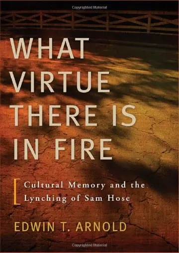 Cover of What Virtue There is in Fire