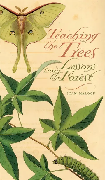 Cover of Teaching the Trees