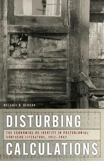 Cover of Disturbing Calculations