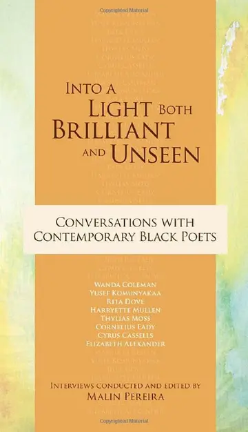 Cover of Into a Light Both Brilliant and Unseen