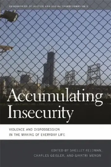 Cover of Accumulating Insecurity
