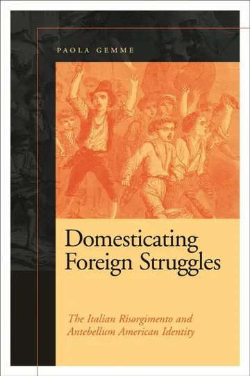Cover of Domesticating Foreign Struggles