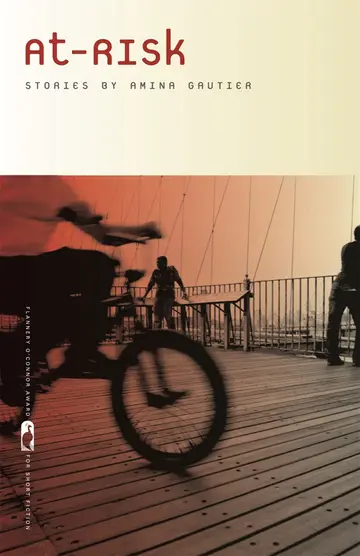 Cover of At-Risk