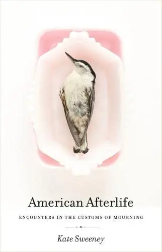 Cover of American Afterlife