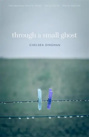 Cover of Through a Small Ghost