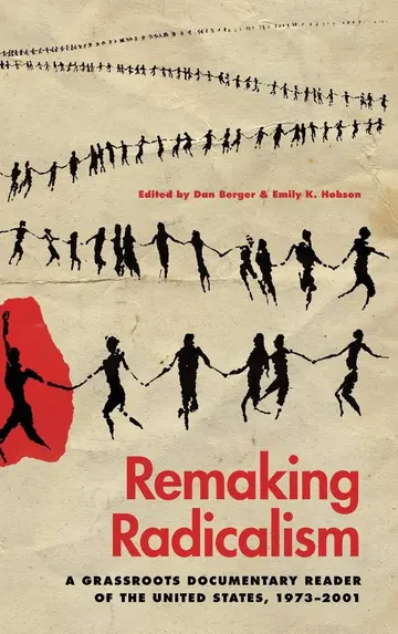 Cover of Remaking Radicalism