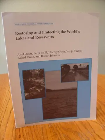 Cover of Restoring and Protecting the World's Lakes and Reservoirs