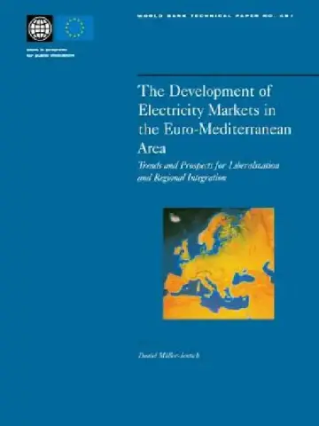 Cover of The Development of Electricity Markets in the Euro-Mediterranean Area