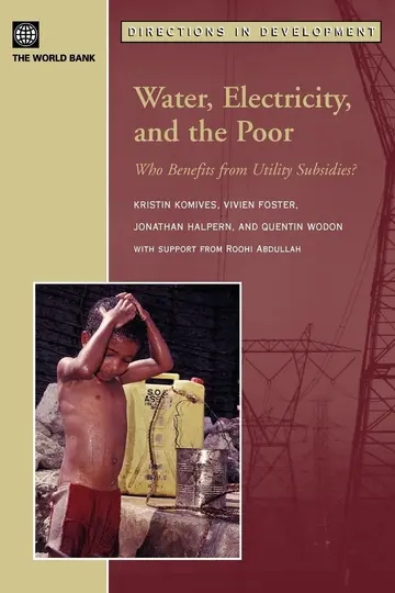 Cover of Water, Electricity, and the Poor