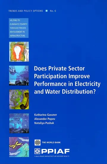 Cover of Does Private Sector Participation Improve Performance in Electricity and Water Distribution?