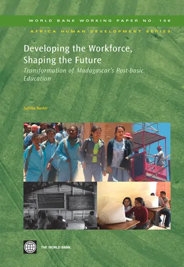 Cover of Developing the Workforce Shaping T
