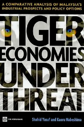Cover of Tiger Economies Under Threat