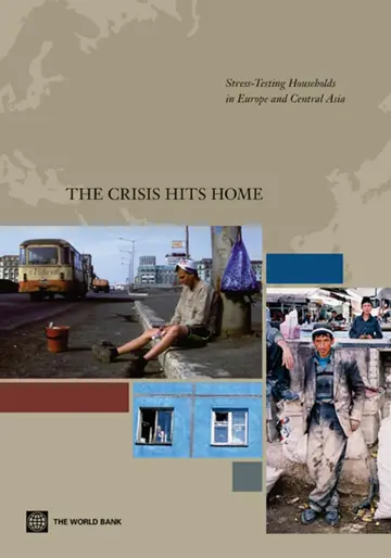 Cover of The Crisis Hits Home