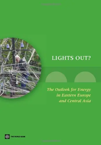 Cover of Lights Out?