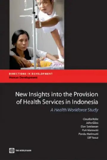Cover of New Insights Into the Provision of Health Services in Indonesia