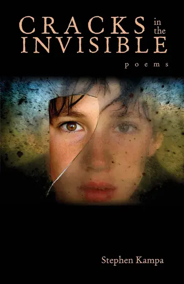 Cover of Cracks in the Invisible