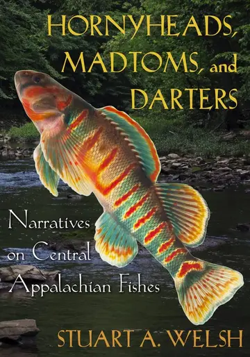 Cover of Hornyheads, Madtoms, and Darters