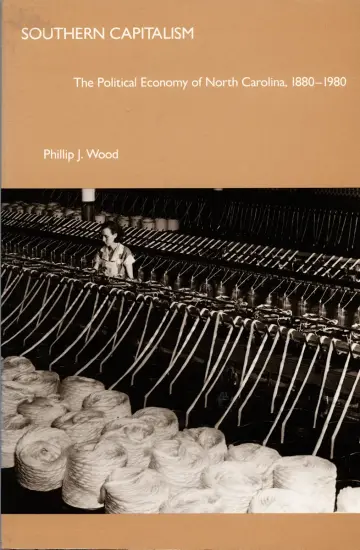 Cover of Southern Capitalism